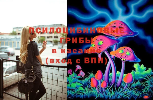 мяу мяу мука Белоозёрский
