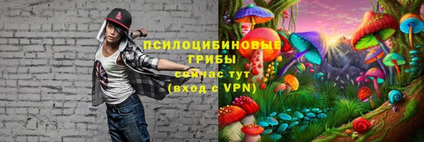 mdpv Балахна